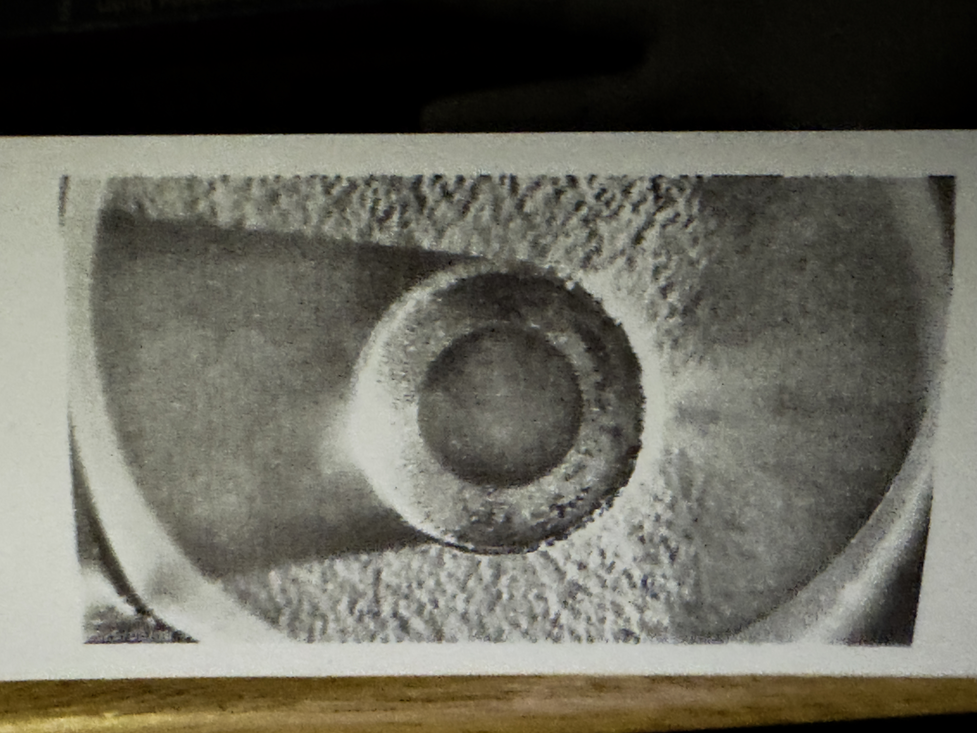 Photo of a disc I found on the road