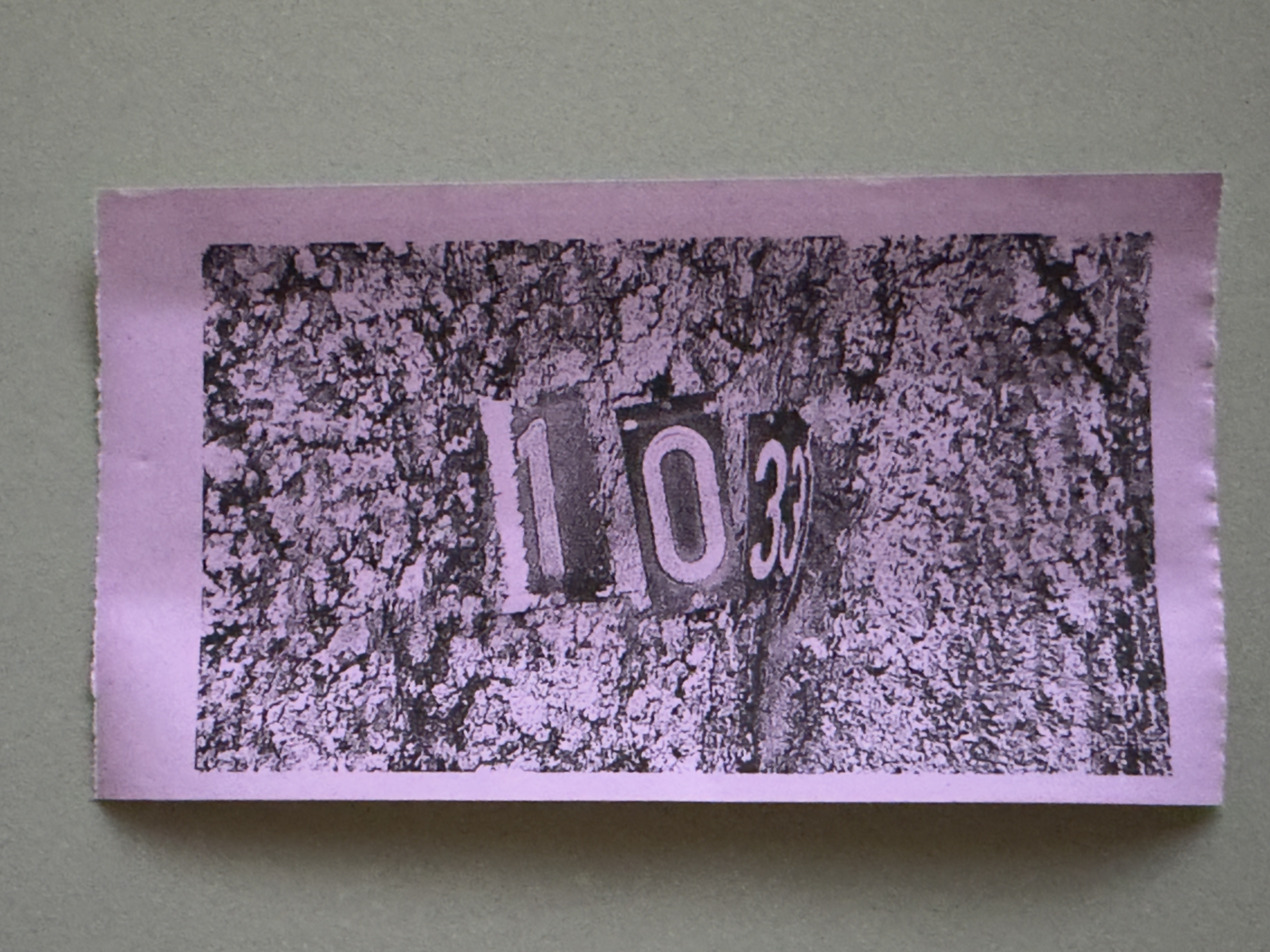 This is a photo of my neighbors street number being grown into the tree