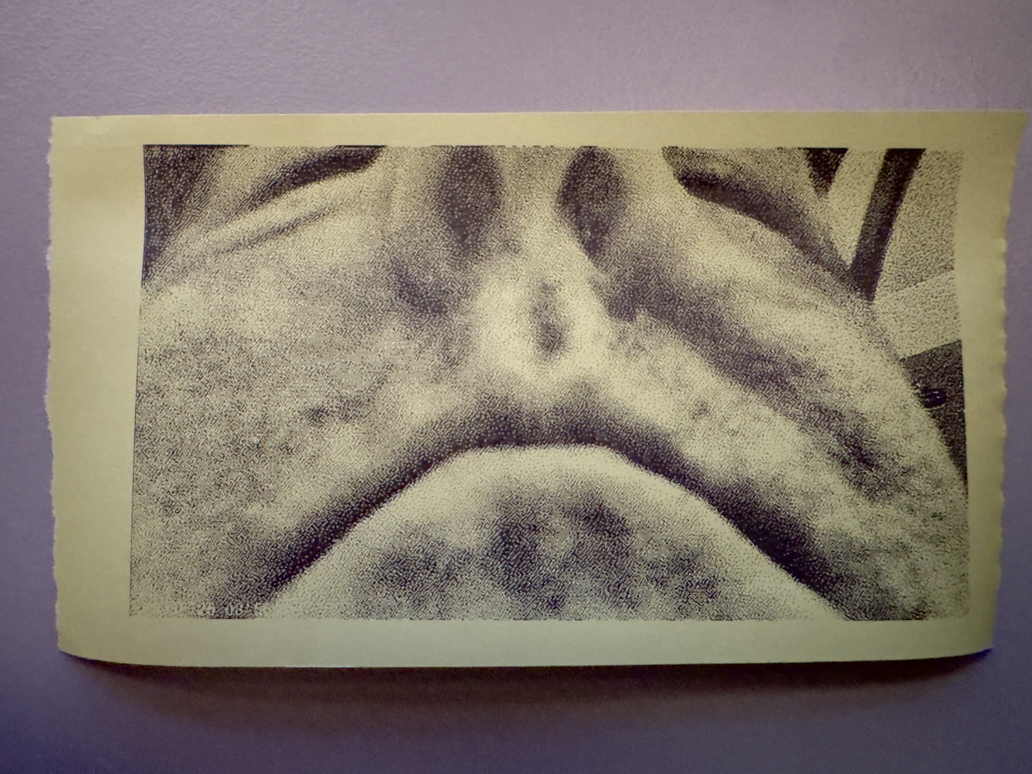 Closeup photo of nose and mouth